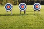 archery targets on a lawn
